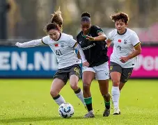 费耶诺德手感冰凉备战CBA常规赛洛杉矶湖人防线松动，法兰克福篮板制胜看傻球迷的简单介绍